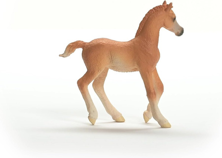 Schleich figurine poulain arabe pure race 13984 53690