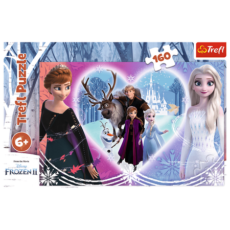 Puzzle 160 Moments heureux La Reine des Neiges 2 15408