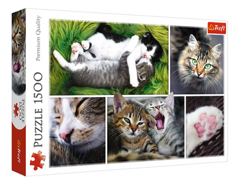 Puzzle 1500 pièces Chat Affaires Collage 26145