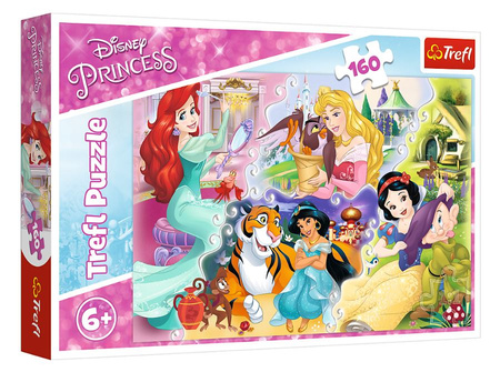 Puzzle 160 Princesses and Friends 15364