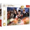 Puzzle 300 pieces Mysterious Harry Potter 23001