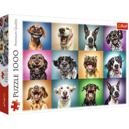 Puzzle 1000 pièces Portraits de chiens drôles 10462