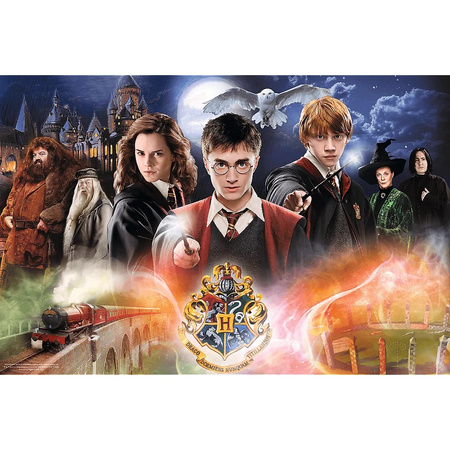 Puzzle 300 pièces Mystérieux Harry Potter 23001