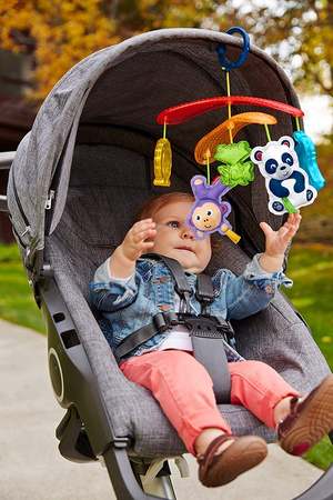 Carousel for a stroller with animal toys DYW54