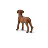 Schleich Rhodesian Ridgeback dog 20' 13895 07229