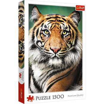 PUZZLE CUBIL 1500 pièces - Portrait de Tigre 26204