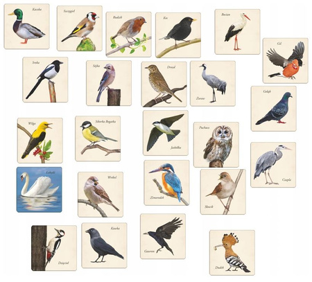 Jeu de mémoire Oiseaux 07271