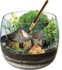 Terrarium Harry Potter 19248