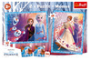 Puzzle 2 en 1, mémos, terre mystérieuse, Frozen 2, 90814