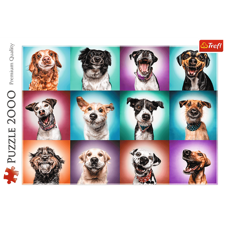 Puzzle 2000 pièces Portraits de chiens drôles 27119