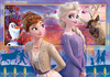 Puzzle Frozen 2 60 26056