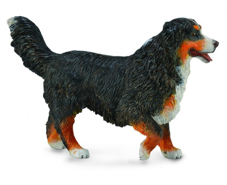 DANTE Collecta Bernese Mountain Dog 88801 88019