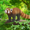 Schleich red panda 20' 14833 13800