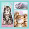 Trefl Puzzle 3en1 Animaux Mignons - Set 34862