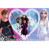 Puzzle 160 Moments heureux La Reine des Neiges 2 15408