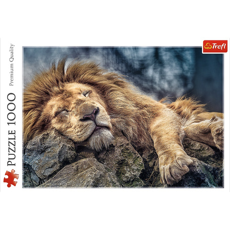 Puzzle 1000 pieces Sleeping lion 10447