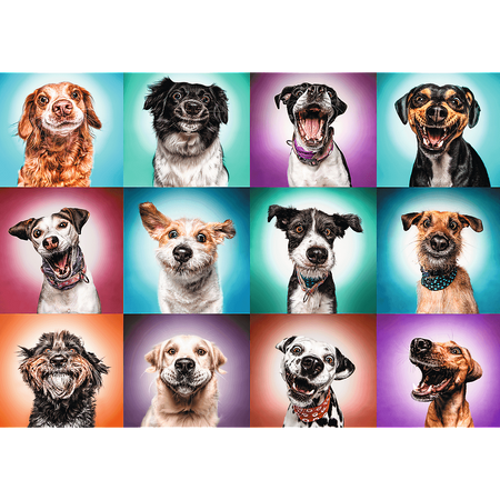 Puzzle 2000 pièces Portraits de chiens drôles 27119