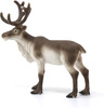 Schleich reindeer 20' 14837 13961