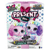 Present Pets Rainbow Fairy 6061372