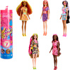 Barbie Color Reveal surprise doll HJX49