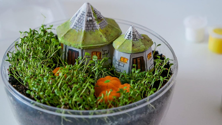 Terrarium Harry Potter 19248