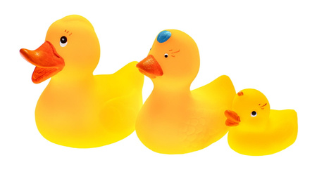 HENCZ Duck family bath toy 825 68253