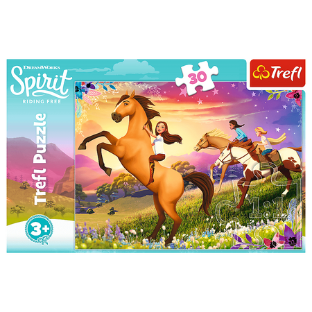 Puzzle 30 Spirit of Freedom 18250