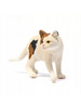 Schleich American Shorthair cat 13894 12902