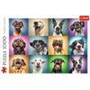 Puzzle 1000 pièces Portraits de chiens drôles 10462